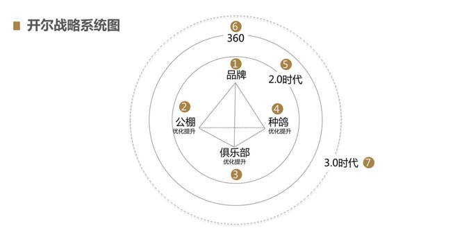 開爾鴿業(yè)品牌全案服務