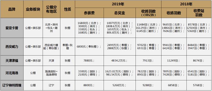 開爾鴿業(yè)品牌全案服務