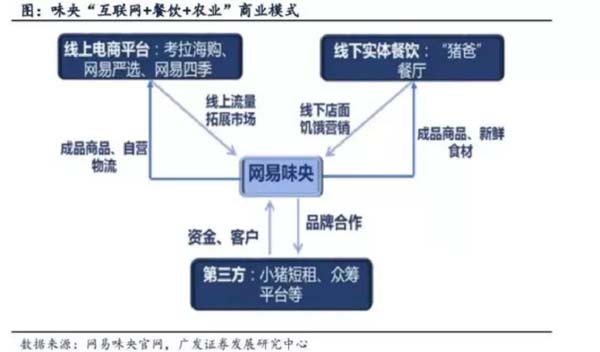 歐賽斯商業洞察：豬肉市場研究及湘村黑豬戰略破局