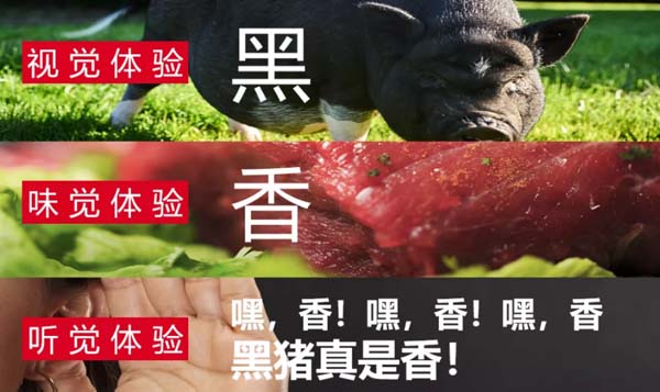 歐賽斯商業洞察：豬肉市場研究及湘村黑豬戰略破局