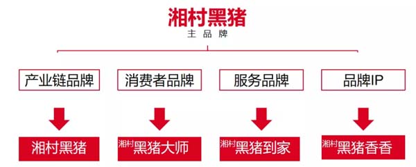 歐賽斯商業洞察：豬肉市場研究及湘村黑豬戰略破局