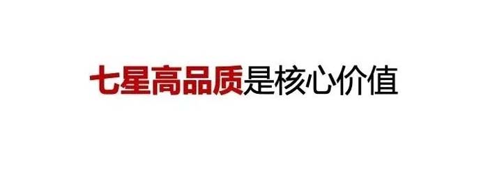 如果世界上只有5塊瓷磚，其中1塊就叫大將軍-大將軍品牌戰略破局策劃深度揭秘