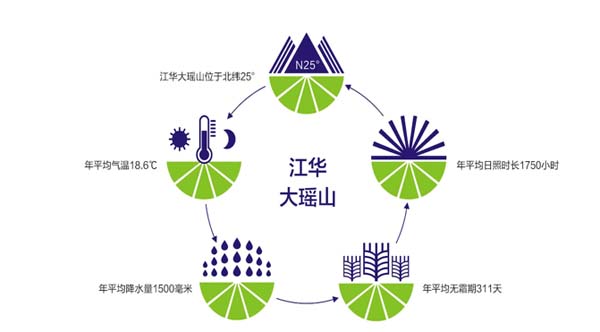 瑤珍大米：升級產(chǎn)品線，年銷售額增長40%