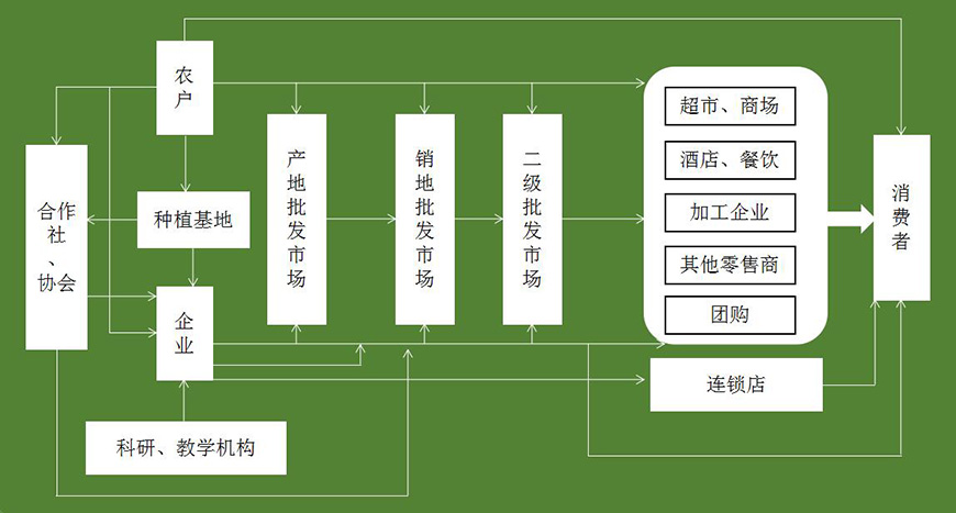 品牌互動(dòng)模式及關(guān)鍵要素——傳播渠道