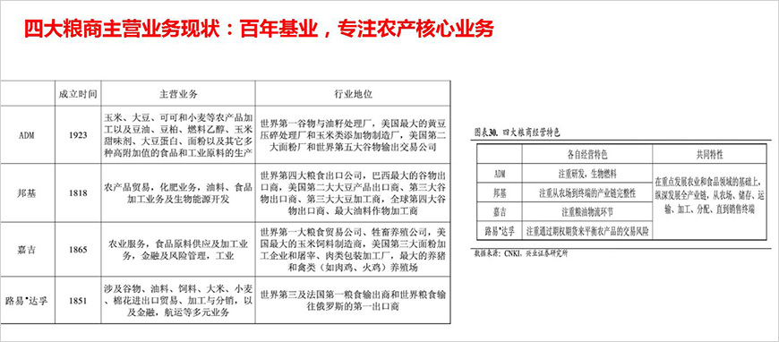 國際四大糧商