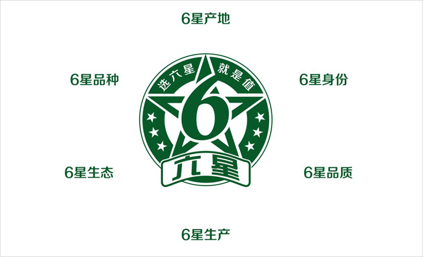 6星