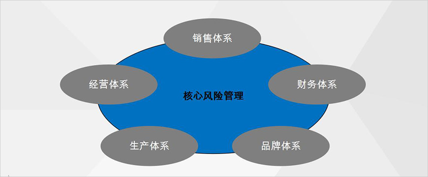 核心風險管理